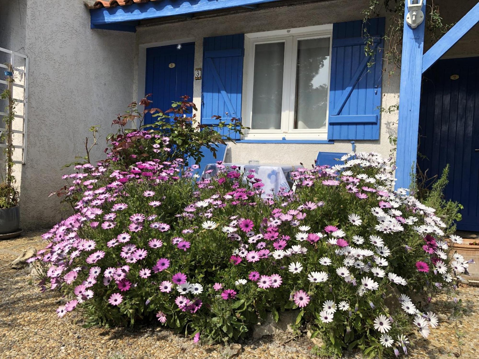 Hotel Des 4 Vents "Esprit Camargue" Aigues-Mortes Luaran gambar